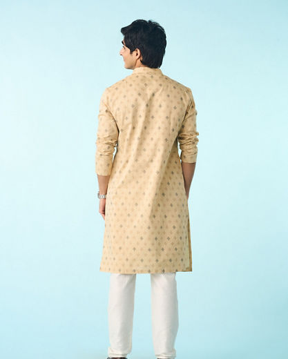 Diwas Men Refined Beige Splendor Kurta Pajama