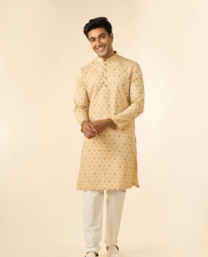 Diwas Men Beige Elegance Men Kurta
