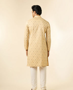 Diwas Men Beige Elegance Men Kurta