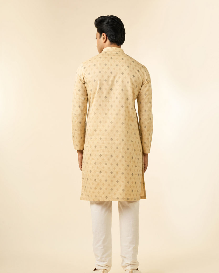Diwas Men Beige Elegance Men Kurta