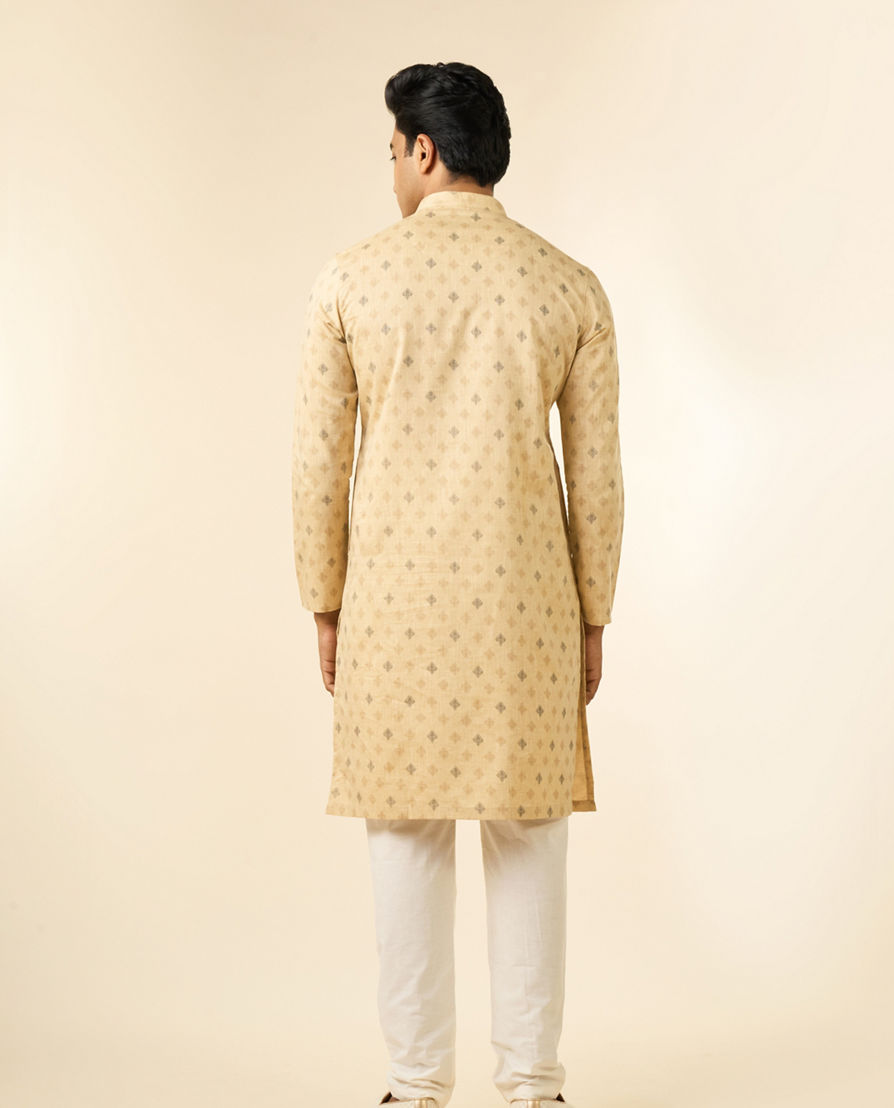 Diwas Men Beige Elegance Men Kurta