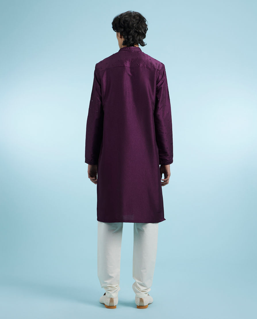 Diwas Men Purple Celebration Kurta