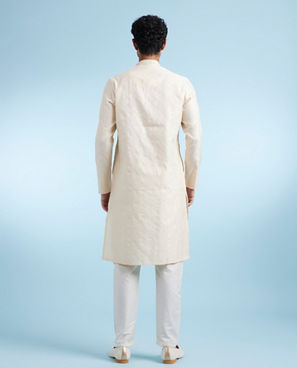 Diwas Men Beige Elegance Kurta