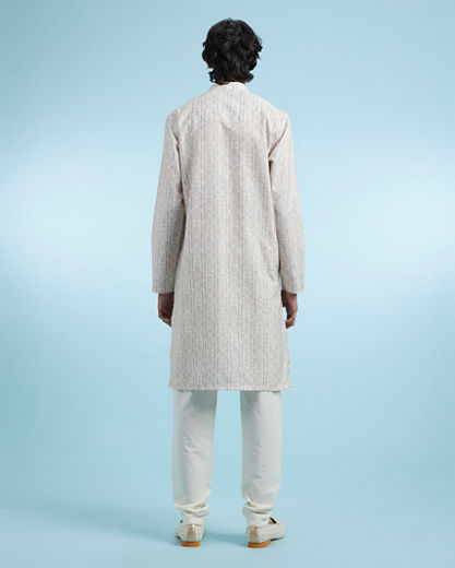 Diwas Men Beige Elegance Kurta