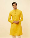 Mustard Yellow Classic Kurta Set
