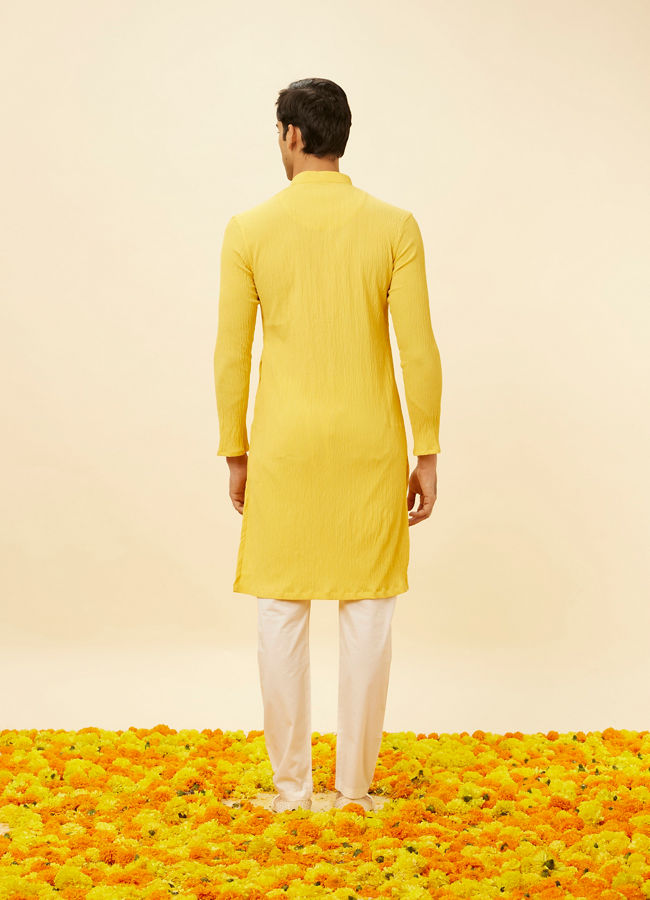 alt message - Manyavar Men Lemon Yellow Classic Kurta Set image number 5