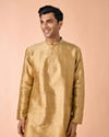 Fawn Serenity Silk Kurta