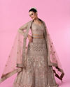 Fawn Glory Net Bridal Lehenga