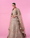 Mohey Women Fawn Glory Net Bridal Lehenga