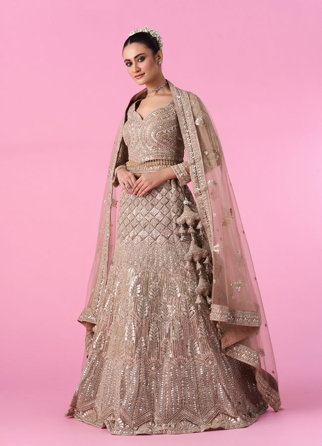 Mohey Women Fawn Glory Net Bridal Lehenga