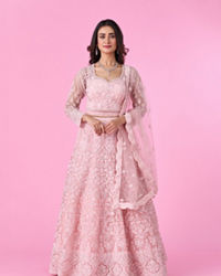 Mohey Women Peach Net Bridal Lehenga