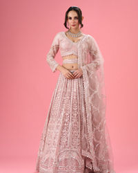 Mohey Women Dusty Pink Euphoria Net Lehenga
