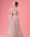 Mohey Women Dusty Pink Euphoria Net Lehenga