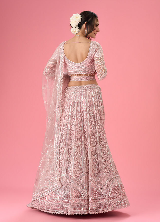 Mohey Women Dusty Pink Euphoria Net Lehenga