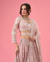 Mohey Women Dusty Pink Euphoria Net Lehenga