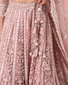 Mohey Women Dusty Pink Euphoria Net Lehenga