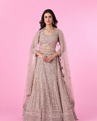 Mohey Women Glamourous Fawn Net Bridal Lehenga