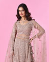 Mohey Women Glamourous Fawn Net Bridal Lehenga