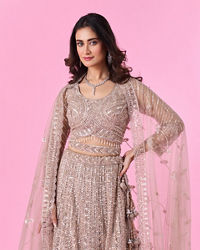 Mohey Women Glamourous Fawn Net Bridal Lehenga