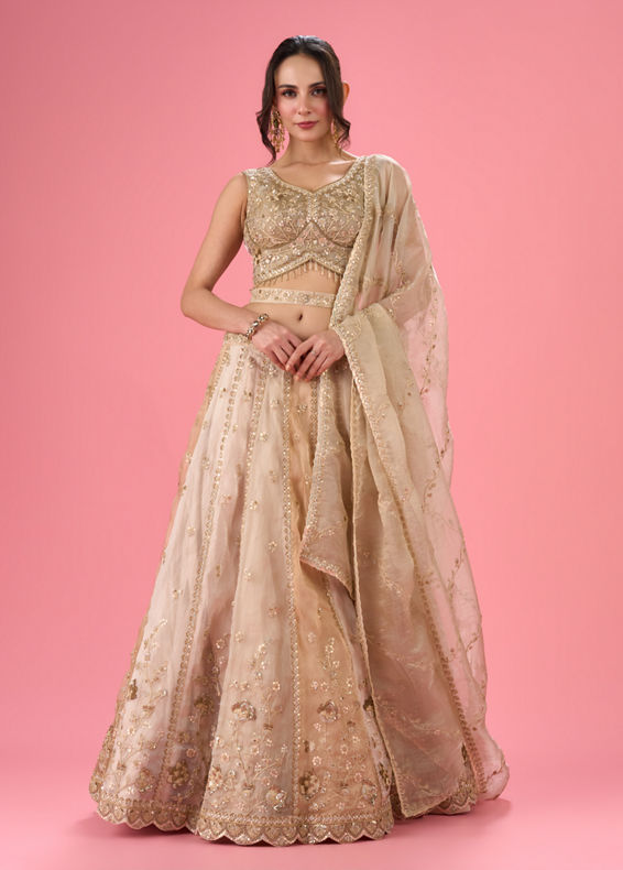 Mohey Women Pristine Cream Organza Lehenga