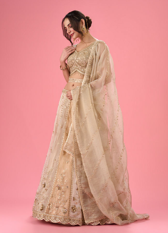 Mohey Women Pristine Cream Organza Lehenga