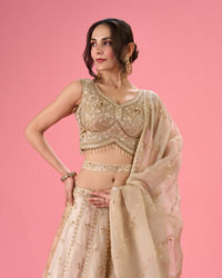 Mohey Women Pristine Cream Organza Lehenga