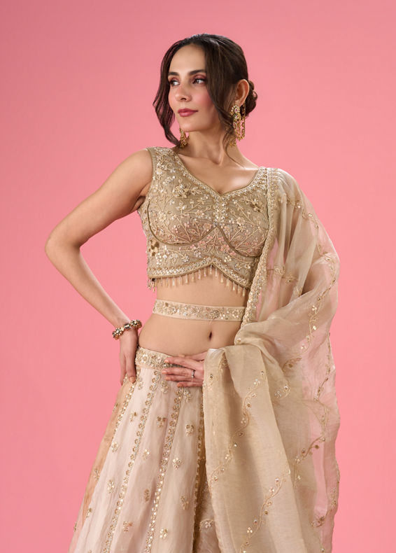 Mohey Women Pristine Cream Organza Lehenga
