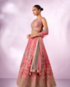Mohey Women Pink Chinon Lehenga with Mirror Work