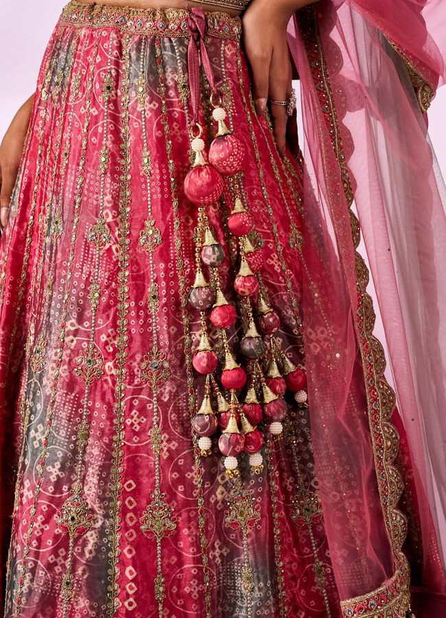 Mohey Women Pink Chinon Lehenga with Mirror Work