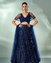 Mohey Women Indigo Blue Net Lehenga with Moti Work