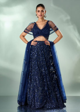 Mohey Women Indigo Blue Net Lehenga with Moti Work