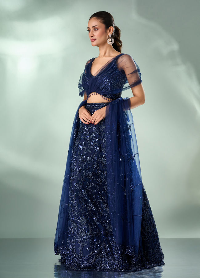 Mohey Women Indigo Blue Net Lehenga with Moti Work