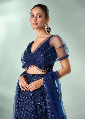 Mohey Women Indigo Blue Net Lehenga with Moti Work