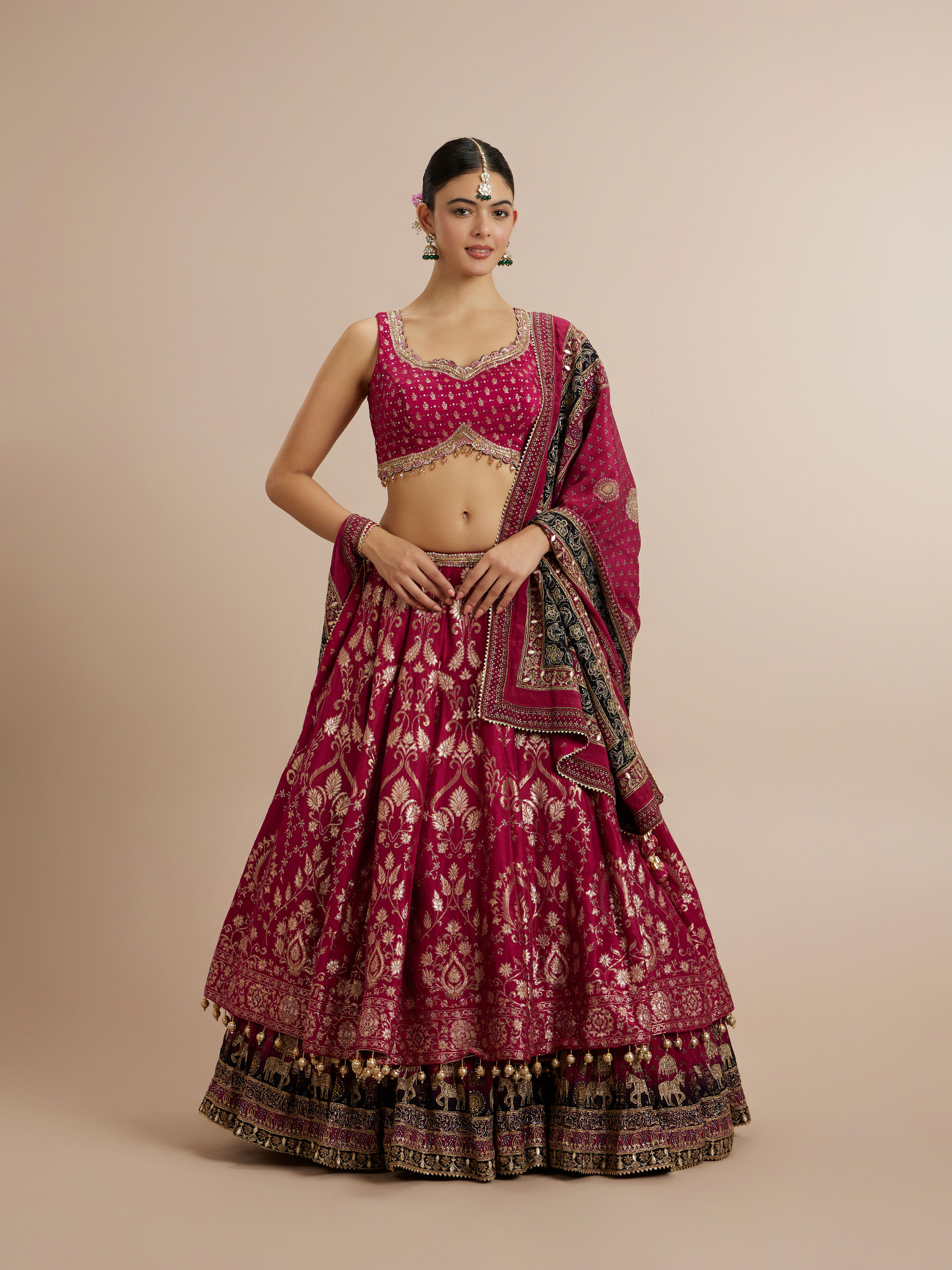 Mohey Women Rashmika's Zari Embroidered Bridal Lehenga with Signature Elephant Border