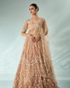 Mohey Women Beige Net Lehenga with Sequin Work
