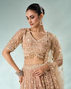 Mohey Women Beige Net Lehenga with Sequin Work