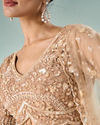Mohey Women Beige Net Lehenga with Sequin Work