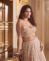 Mohey Women Beige Net Lehenga with Sequin Work