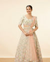 Pista Honeycomb Patterned Lehenga