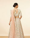 alt message - Mohey Women Pista Honeycomb Patterned Lehenga image number 3