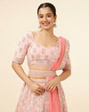 alt message - Mohey Women Peach Pink Honeycomb Patterned Lehenga image number 1