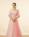 Peach Pink Honeycomb Patterned Lehenga