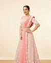 alt message - Mohey Women Peach Pink Honeycomb Patterned Lehenga image number 2