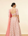 alt message - Mohey Women Peach Pink Honeycomb Patterned Lehenga image number 3