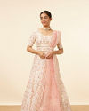 Mohey Women Dark Cream Bel Buti Patterned Embroidered Lehenga