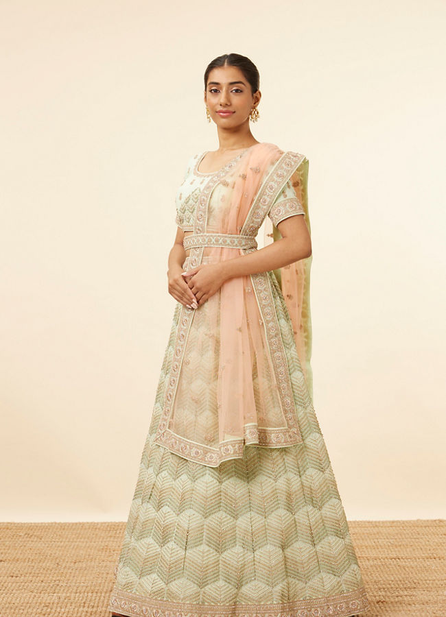 Sugar Swizzle Pista Fern Patterned Lehenga image number 2