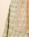 Sugar Swizzle Pista Fern Patterned Lehenga image number 4