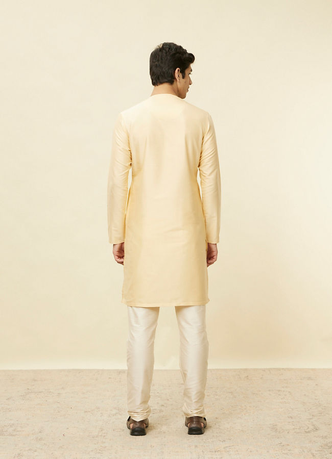 Biscuit Beige Bandhgala Kurta image number 3