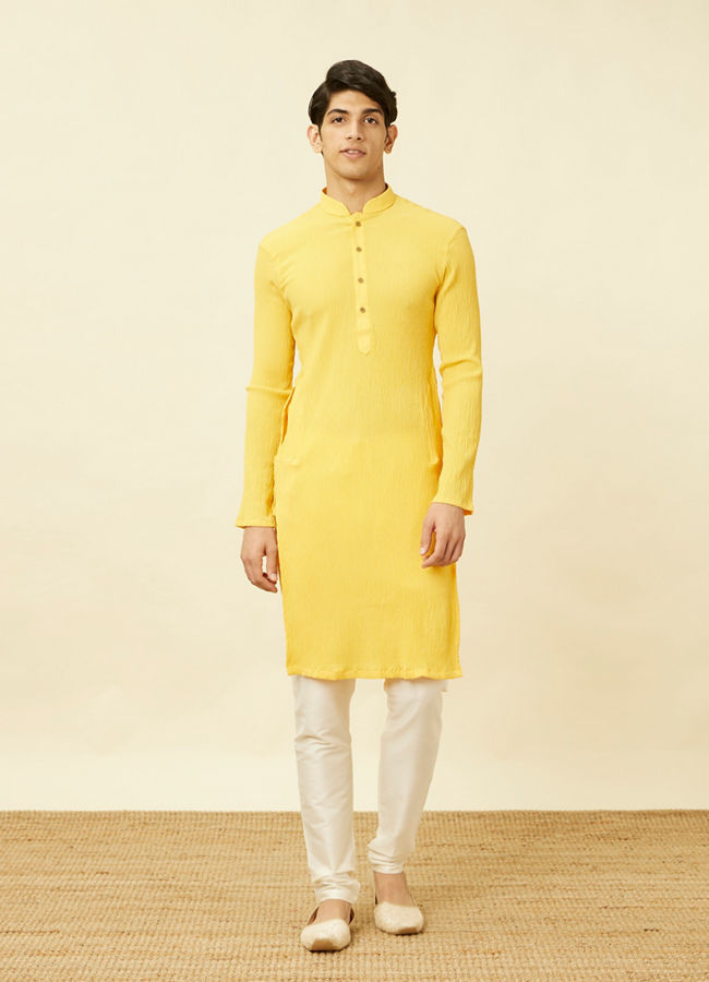 alt message - Manyavar Men Summer Daffodil Yellow Half Placket Kurta image number 2