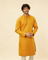 Mustard Yellow Contrast Piping Kurta image number 0